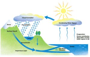 IELTS Writing Task 1: Water Cycle Diagram